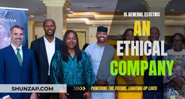General Electric's Ethical Reputation: Examining the Facts