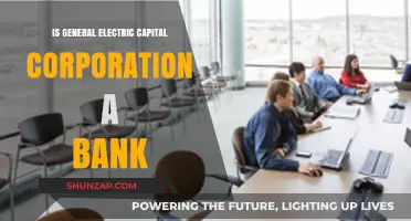 General Electric Capital: A Bank or Not?