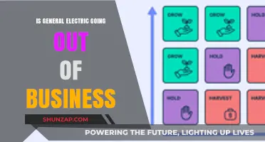 General Electric: Is the End Near?