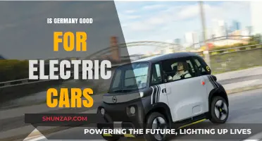 Is Germany a Leader in Electric Car Adoption and Infrastructure?