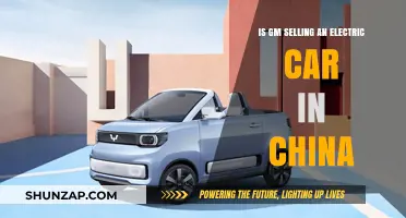 GM's Electric Car Venture in China: What You Need to Know