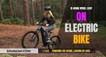 Electric Bike Benefits: Uphill Struggle or Easy Ride?