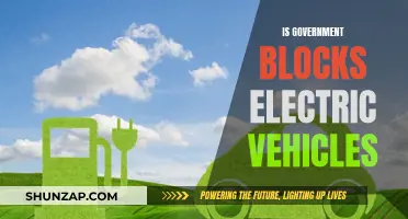 Government Blocks: Electric Vehicles' Future in Jeopardy