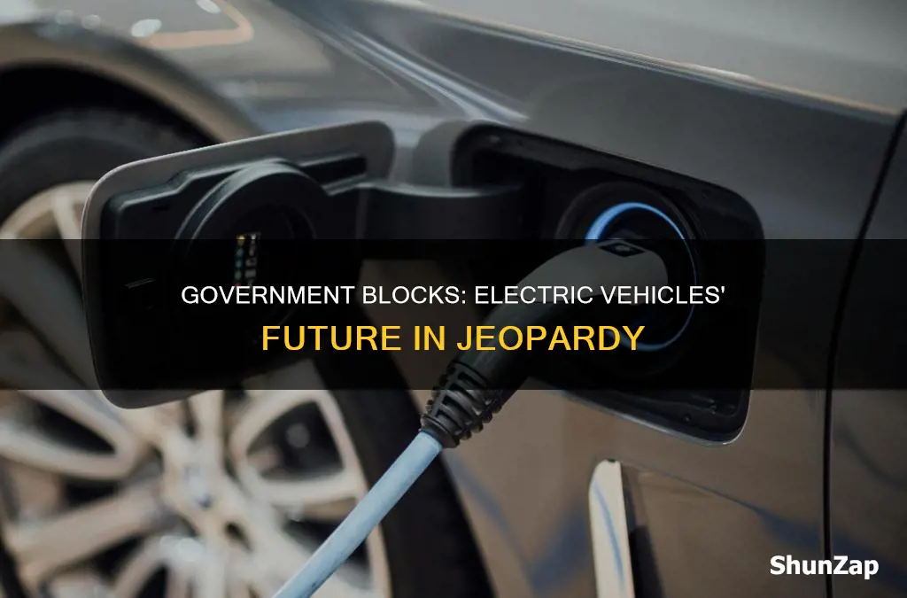 is government blocks electric vehicles