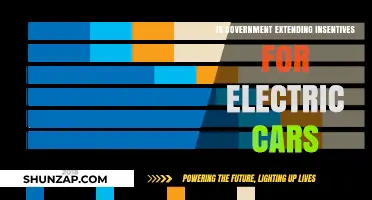 Government Incentives for Electric Cars: Are Extensions on the Horizon?
