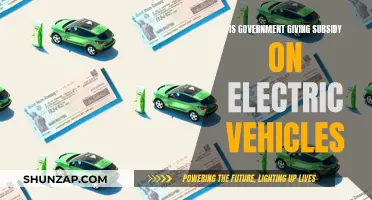 Electric Vehicle Subsidies: Government Support for a Greener Future