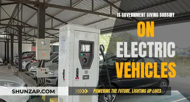 Government Subsidies: Electric Vehicles' Future?