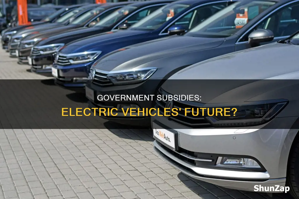 is government giving subsidy on electric vehicles