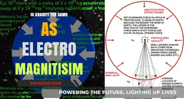 Understanding Gravity and Electromagnetism: Similar Forces?