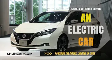 Is Greta's Electric Car Truly Green? Unraveling the Environmental Impact