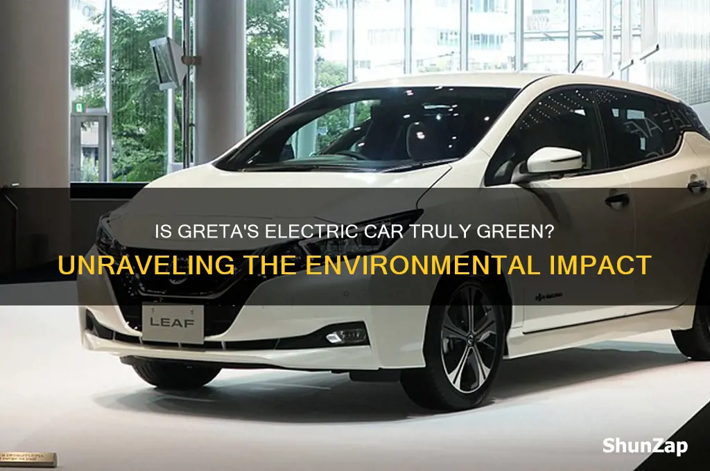 is greta not green driving an electric car