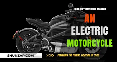 Harley-Davidson's Electric Motorcycle: A New Era?