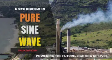 Hawaii's Electric Sine Wave System: Pure or Not?