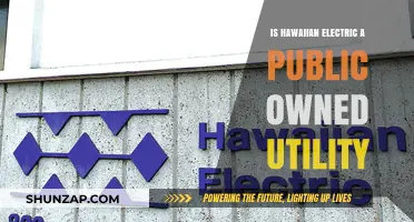 Hawaiian Electric: Publicly Owned Utility or Private Enterprise?