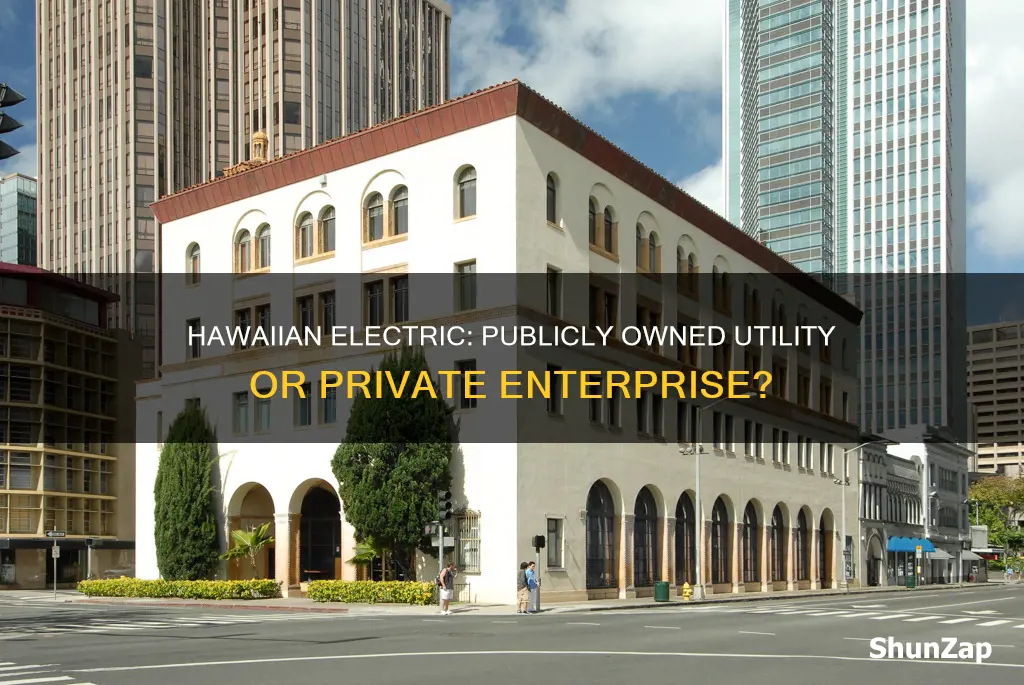 is hawaiian electric a public owned utility