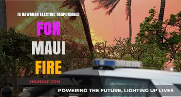 Hawaiian Electric's Role in Maui Fire: Who's Responsible?