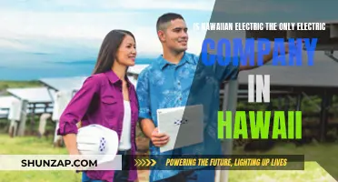Hawaii's Electricity: Hawaiian Electric's Monopoly Explained