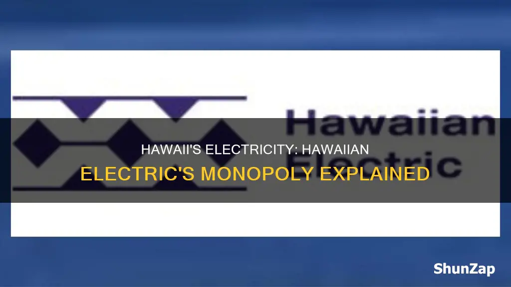 is hawaiian electric the only electric company in hawaii