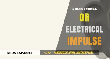 How Do We Hear? Electrical or Chemical?