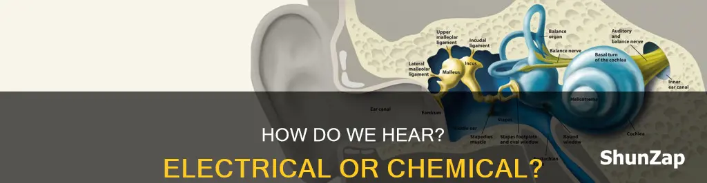 is hearing a chemical or electrical impulse