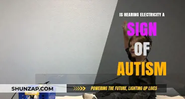 Auditory Sensitivity to Electricity: Autism Trait?