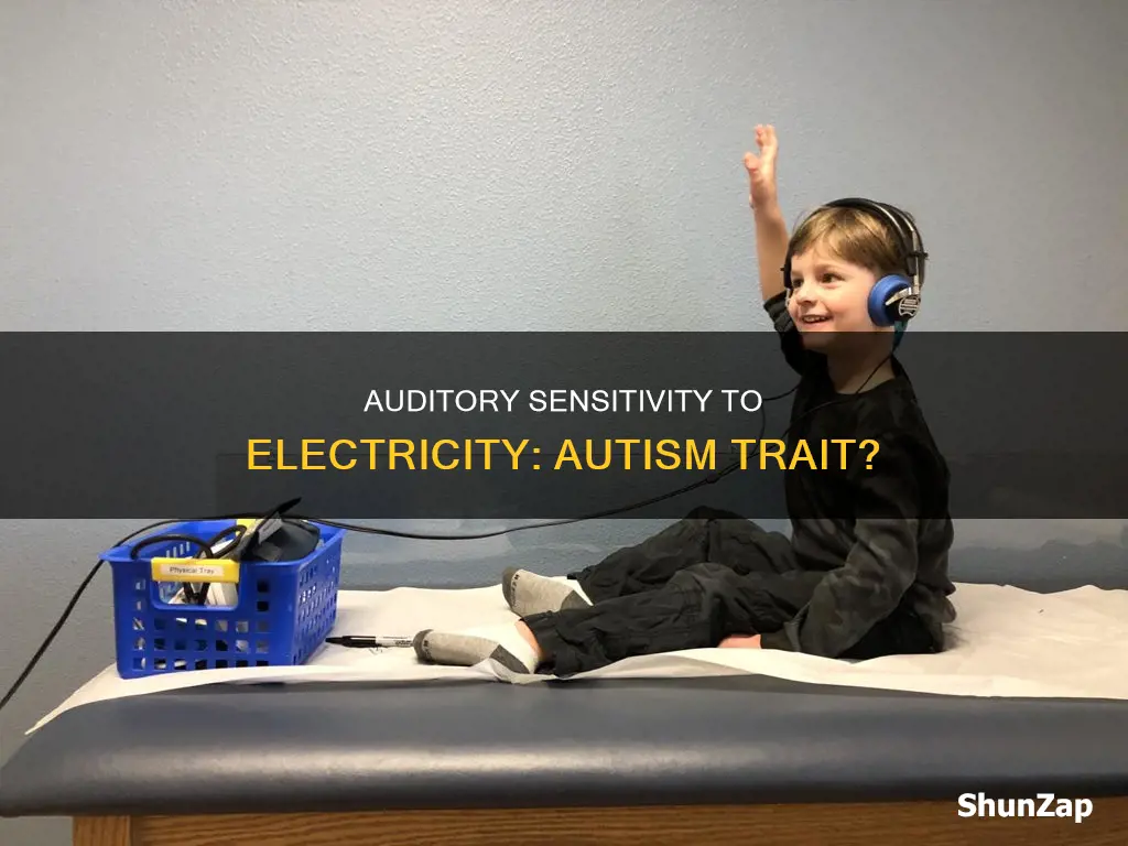 is hearing electricity a sign of autism