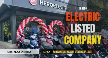 Hero Electric: A Publicly Listed Company?