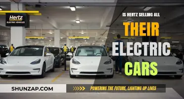 Is Hertz Selling Its Entire Electric Car Fleet? What's Happening
