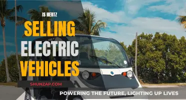 Hertz's Electric Vehicle Revolution: A Green Car Future