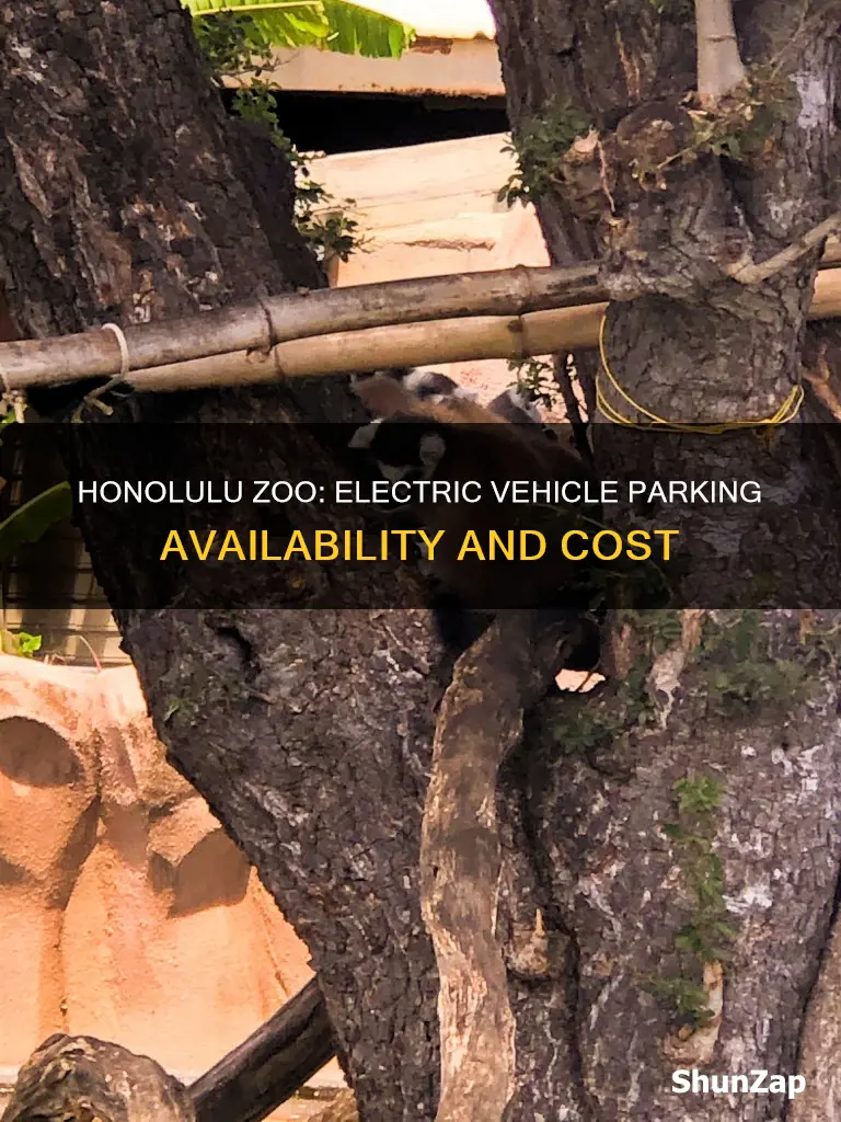 is honolulu zoo parking free for electric vehicles