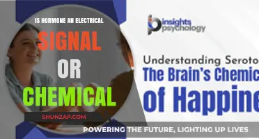 How Do Hormones Work? Electrical or Chemical?