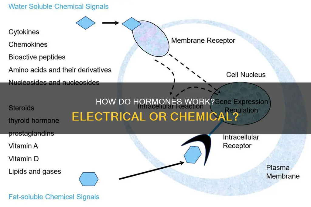 is hormone an electrical signal or chemical