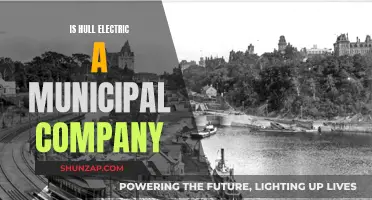 Hull Electric: A Municipal Company?