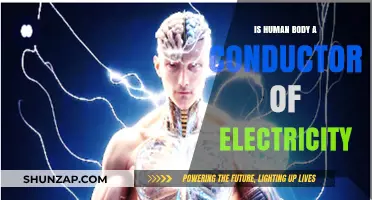 Human Body: Electrical Conductor or Not?