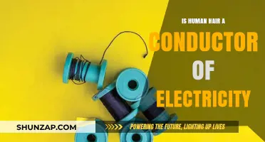 Human Hair: Electrical Conductor or Not?