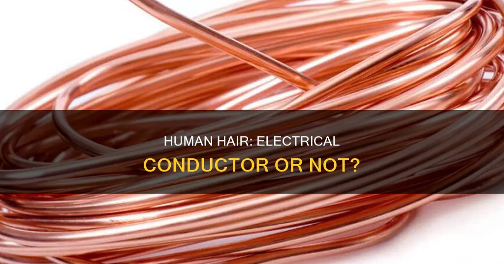 is human hair a conductor of electricity