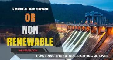 Hydroelectric Power: A Renewable Energy Source?