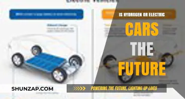 Hydrogen vs. Electric Cars: Which Will Dominate the Future?