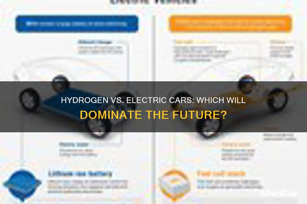 is hydrogen or electric cars the future