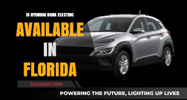 Hyundai Kona Electric: Florida Availability and Beyond