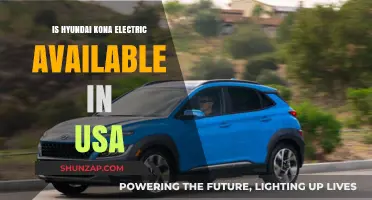 Hyundai Kona Electric: Available in the USA?