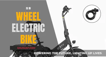 Electric Bike Wheels: Powering Your Ride