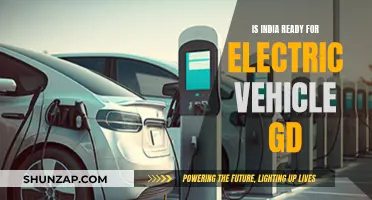 India's Electric Vehicle Revolution: Ready for the Future?