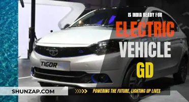 India's Electric Vehicle Revolution: Are We Ready?