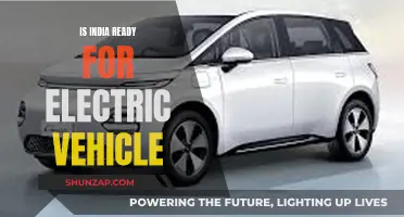 India's Electric Vehicle Revolution: Are We Ready?