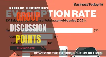 India's Electric Revolution: Are We Ready for the EV Shift?