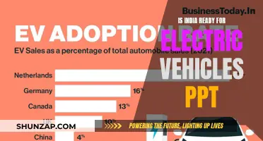 India's Electric Revolution: Are We Ready for the Change?