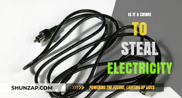 Electricity Theft: A Criminal Act or a Desperate Measure?