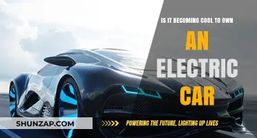 Electric Cars: The New Cool or Just a Passing Trend?