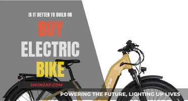 Building vs. Buying: The Electric Bike Dilemma